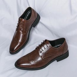 Robe chaussures Brogue hommes PU talon bas couleur unie pointu gravé à lacets Derby affaires formelles grandes tailles 38-46