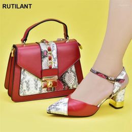 Chaussures habillées Fashion Italian Shoe and Bag Set for Farty in Women Leopard Leopard Handbags Italie assorti