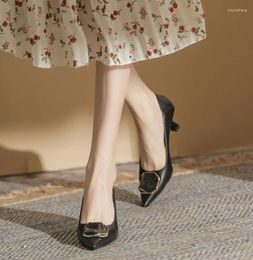 Geklede schoenen dames zomerschoenen normaal leer casual met middelhoge hakken stilito spitse neus voor dames 2023 mode hoge kwaliteit A E
