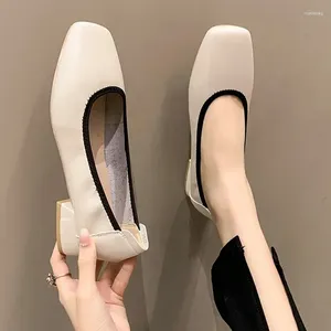 Chaussures habillées Marie Janes Spring Femmes Mid Heels Lolita 2024 Fashion Square Toe Chunky Shallow Brand Mujer Zapatos Pumps