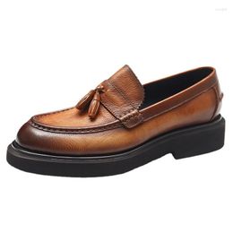 Kleid Schuhe Herren Loafer Frühling Herbst Echtes Leder Männer Höhe Zunehmende Luxus Atmungsaktive Casual Mann Plus Größe 38-48
