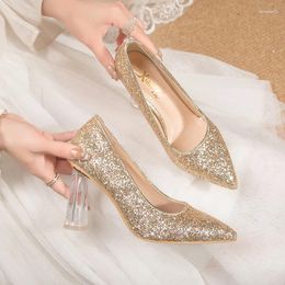 Geklede schoenen Puntschoen Dikke hakken voor damespumps Zilver Transparant Hak Bruidsmeisjes Chaussures Strass Femme