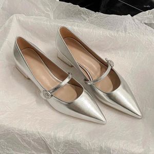Dress Shoes Pointed Teen Women 2024 Spring Silver Mary Jane Comfortabele lage hak eenvoudige veelzijdige damespompen