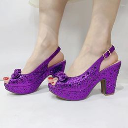 Chaussures habillées printemps et automne Last plus italien Design Fashion Style Dames Shoe 2024 Nigérian en couleur violette pour la fête