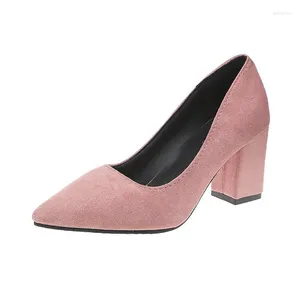 Dress Shoes Square Heel Women Pointed Teen Pumps Fashion Gray Hoge Heels Asakuchi Flock Leather Black Party Plus Big Size