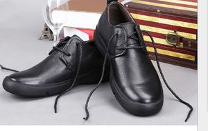 Kledingschoenen zomer 2 heren schoenen Koreaanse versie van de trend 9 casual YL160H6 230208