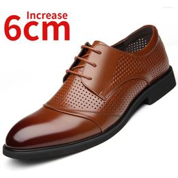 Chaussures habillées Summer et Spring Feator's Men's Augmentation de 6 cm Cow Hide Hollow Out Derby Business Buffable pour les hommes