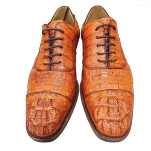 Chaussures habillées Tianxin Arrivée Hommes Crocodile Formel Cuir Marron