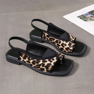 Kleding schoenen vrouw luipaard flats vrouwelijke sandalen clip teen casual zomer slingback slippers wandel slippers trend femme dia's q38