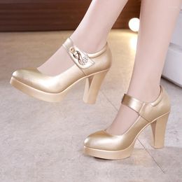 Dress Shoes Women High Heel Block Gold Silver Wedding Pumps 2023 Strijnwaardigheid 10 cm feestschoen plus maat 44