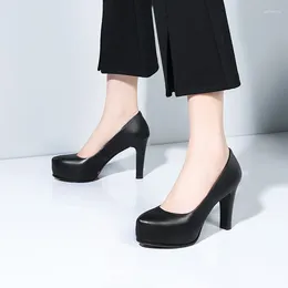 Chaussures habillées Femmes Bureau Travail Plate-forme imperméable Talons hauts El Attendants Hôtesses