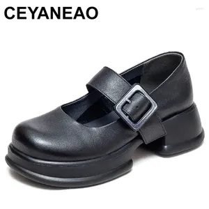 Kleding schoenen vrouwen dikke hak casual Britse stijl ronde teen slip-on pumps echte lederen ondiepe platformtoersloafers