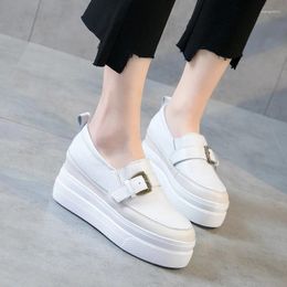 Zapatos de vestir yiluan zapatillas de plataforma soltero 2024 otoño blanco casual de cuero genuino aumento estudiante tamaño pequeño 32-42