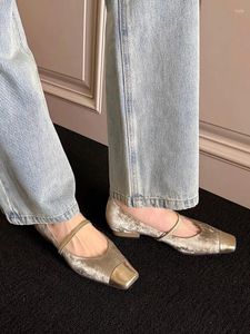 Chaussures habillées Zapatos Mujer 2024 Tendencia printemps / été femme célibataire de haute qualité Mary Jane Jane Silk Cowhide Talons 2cm