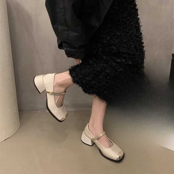 Robe chaussures simples chaussures femmes printemps nouveau français bout carré talon épais semelle haute petites chaussures en cuir Mary Jane