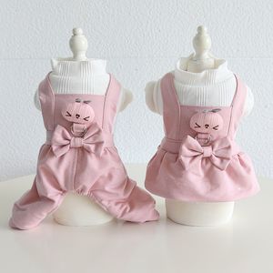 Robes 2022 Automne Vêtements d'animaux de compagnie chauds laine chaude petit chien Robe princesse douce et saut épaissison chaton chaton de chiot