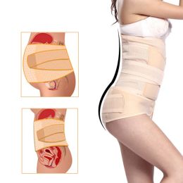 Robes 3 pc / set Femmes enceintes ceinture après la grossesse Soutien de la courroie du corset du ventre post-partum après l'accouchement