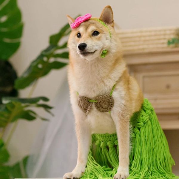 Robes chien Bikini animal de compagnie été plage vêtements de vacances pour chats chiot chiens moyens chien Costume été chiot vêtements fournitures pour animaux de compagnie