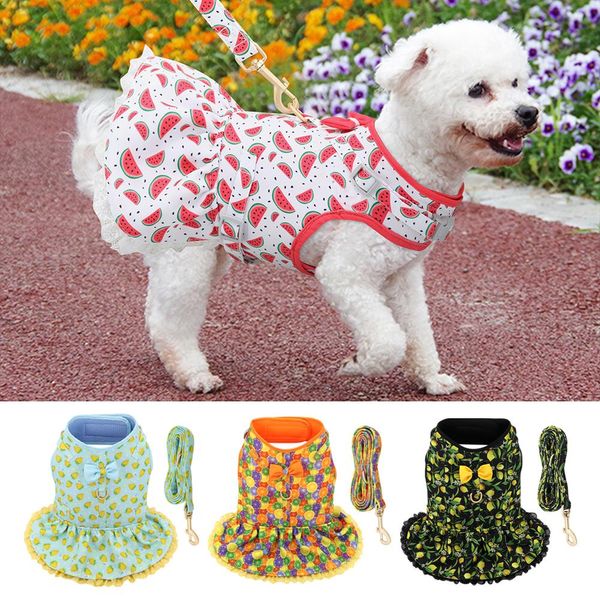 Vestidos Perro Gato Ropa de verano Vestido Malla Cachorro Gatito Chaleco Arnés y correa Cuerda Estampado encantador Ropa de algodón para mascotas con pajarita linda XSL