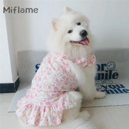 Robes Miflame Big Dog Princess Jupe Pet Floral Dress Grands Chiens Jupe Samoyède Labrador Golden Retriever Rose Été Mince Tenue