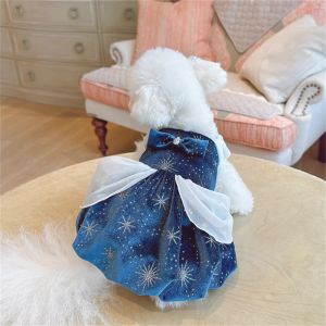 Vestidos Mascota Cuento de hadas Princesa Falda Otoño Invierno Medio Pequeño Perro Diseñador Ropa Gatito Cachorro Lindo Poncho Falda Yorkshire Maltés