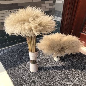 Flor seca 50 unids/lote, venta al por mayor, ácaros Phrag, hierba de pampa decorativa natural para el hogar, decoración de boda, ramo de flores de 56-60cm