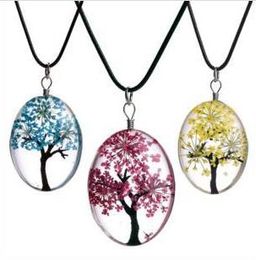 Collier de charmes de fleurs séchées Colliers d'arbre étoilé en verre Mode Crystal Party Trendy Designer Time Gem DIY Bijoux en verre faits à la main C241