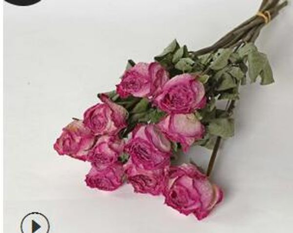 Fleur séchée rose, fleur de décoration familiale littéraire, fond de tir, floral, bricolage, maison, fleurs séchées, commerce de gros