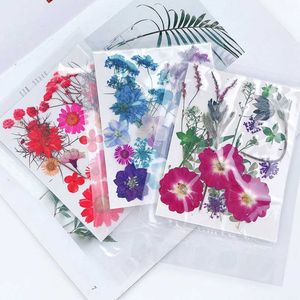 Fleurs séchées 1 sac Fleurs séchées bricolage Fleurs pressées Autocollants pour le téléphone Bijoux Making Crafts Nail Art Decor Diy Party Home Decor