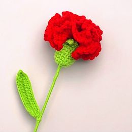 Fleurs séchées 10 morceaux de fil de fleur tricoté à la main au crochet Dianthus caryophyllus bouquet tissé bricolage décoration de cadeau de fête des mères décoration à la main 230714