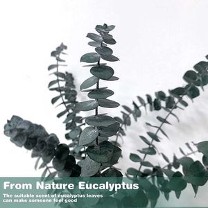 Gedroogde Bloemen 10 Stuks Real Bewaarde Eucalyptus Blad Takken Natuurlijke Verse Plant Voor Bruidsboeket Bloemen Home Decor
