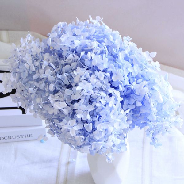 Flores secas, 1 unidad, 20cm, naturaleza fresca conservada, hortensia de Anna, rama entera, fotografía de flores, decoración para boda, hogar, jardín y fiesta, 1 ud.