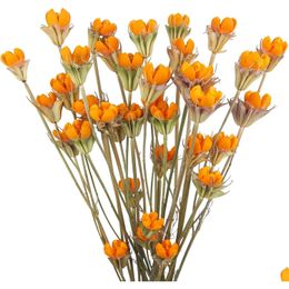 Fleurs séchées 2 pièces Bouquet artificiel Bk naturel pistache Orange arrangements floraux livraison directe maison jardin décor parfums Otk36