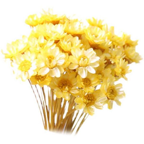 Fleurs séchées 30 pièces, petite étoile brésilienne, Gypsophila chrysanthème, décor artistique, accessoires de mariage DIY