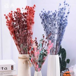 Gedroogde Bloemen 35-42CM/80g Echte Natuurlijke Gedroogde Bloemen Selderij Boeket Geconserveerde Valentijnsdag Fruit Voor Bruiloft Decoraties Home Decor R230725