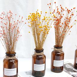 Flores secas, 50 Uds., ramo de flores secas felices, pequeña prensa, Mini fotografía decorativa, decoración de fondo para fotografía