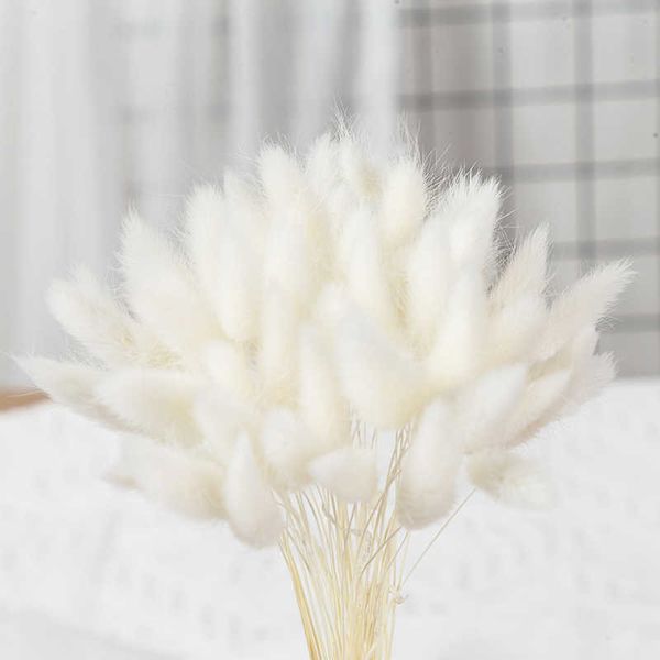 Fleurs séchées 50pcs véritable herbe de lapin naturelle pour la décoration Phragmite mariage décor à la maison en gros