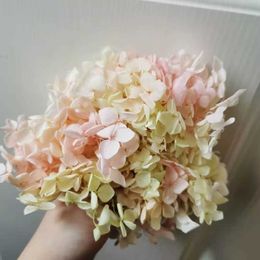 Fleurs séchées 5 g/lot Grade A préservé Anna hortensia Nature tête de fleur fraîche bricolage boîte-cadeau de la saint-valentin véritable décoration de mariage éternel