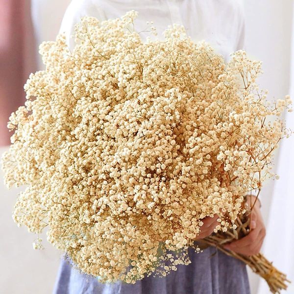 Fleurs séchées 80g Fleur Bébé Souffle Préservé Gypsophile Bouquet Festival De Mariage Décoration Artificielle Paniculata Diy Décor À La Maison 230818