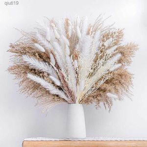 Fleurs séchées 80PCS Bouquet d'herbe de pampa séchée naturelle Boho Home Decor Bouquet Phragmites Bouquet de fleurs séchées pour décor de mariage R230720