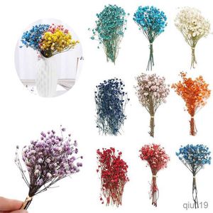 Fleurs séchées Fleurs séchées colorées Petites plantes florales séchées naturelles Mini vrais bouquets Décoration de la maison Photographie Props Art Craft R230725