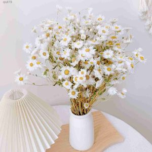 Fleurs séchées Bouquet de fleurs de marguerite séchées Real Dry White Flower Gerber Daisies Arrangements pour les décorations de ferme de mariage DIY Home Decor R230720