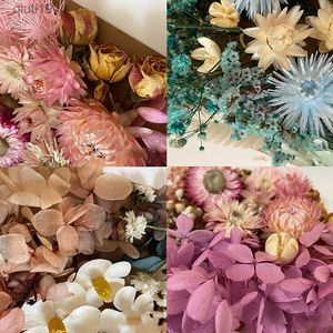 Flores secas Flores secas Babys Breath Eternal Hhydrangea Flower DIY Real Forever Dried Flower Resin Mold Making Nail Art Embossing Material R230720