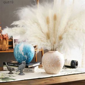 Fleurs séchées Fleur sèche Décorations de pampa blanches Pampa Gras naturel Décoratif Boho Home Decor Ferme Plantes rustiques pour décorations de mariage R230720