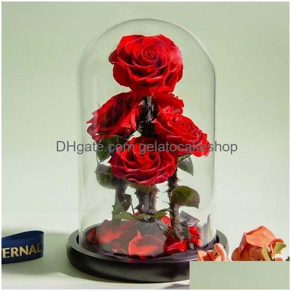 Fleurs séchées Roses éternelles conservées dans un dôme de verre 5 capitules Rose Amour Faveur de mariage Cadeaux de fête des mères pour femmes copines 2 Dhofa