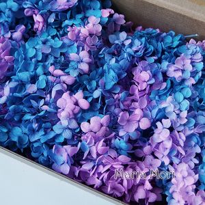 Gedroogde Bloemen Kleurverloop Bewaard Hortensia Woondecoratie Bruiloft Klein Blad Anna Epoxy Handgemaakte DIY Materiaal 230711