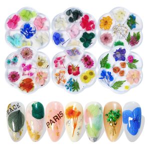 Gedroogde bloemen Nail Art Sticker voor tips manicure nagelbloemstickers