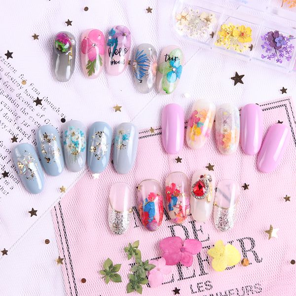 Fleurs séchées Ongles Décorations Bijoux Naturel Feuille Floral Autocollants 3D Nail Art Stickers Polonais Manucure Accessoires RRA2451