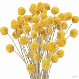 Fleurs séchées naturelles Billy boules fleurs fleurs jaunes Arrangements Bouquet pour ferme mariage maison bricolage décor R230725