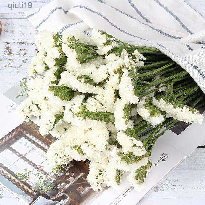 Dried Flowers Natural Dried Flowers Forget Me Not Flower Fall Home Decor Balcony Fresh Bouquet Garden Wedding Bench Decorative Materials R230720